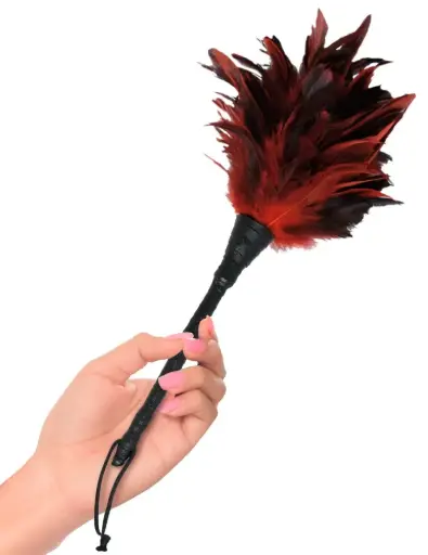 [05405440000] Plumeau - Frisky Feather Duster